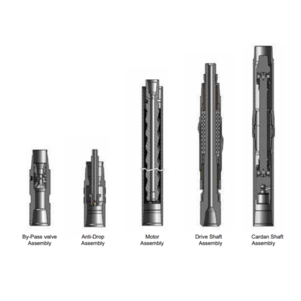 Downhole Motor